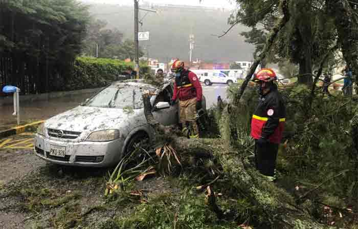 En Ibarra, los bomberos atendieron una emergencia por la caída de los troncos de un árbol sobre un vehículo. Foto: Cortesía / Cuerpo de Bomberos de Ibarra