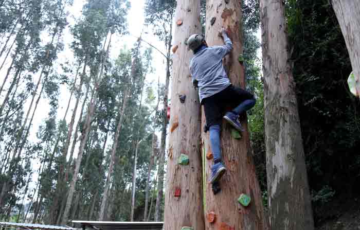 Las actividades al aire libre se promocionan en Riobamba. En La Aldea hay escalada en árboles y cuerda floja. Foto: Glenda Giacometti / EL COMERCIO