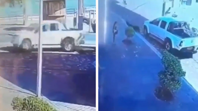 Un video captó el momento en el que el conductor arrolla al lobo marino y arrastra al animal varios metros. Foto: Captura redes sociales