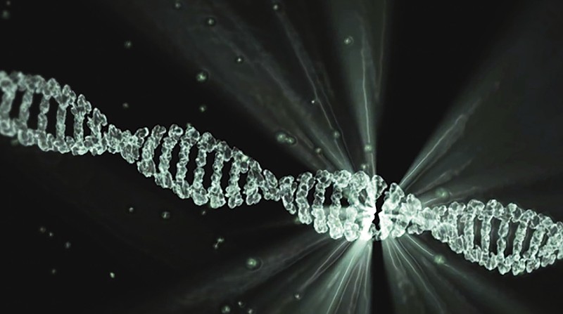 Imagen referencial: El ADN mitocondrial influye en la duración de la vida y en la estatura. Pixabay