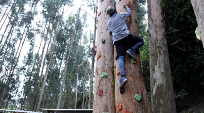 La escalada en árboles es de las actividades más novedosas y la que tiene más demanda en La Aldea, en Riobamba. Foto: Glenda Giacometti / EL COMERCIO