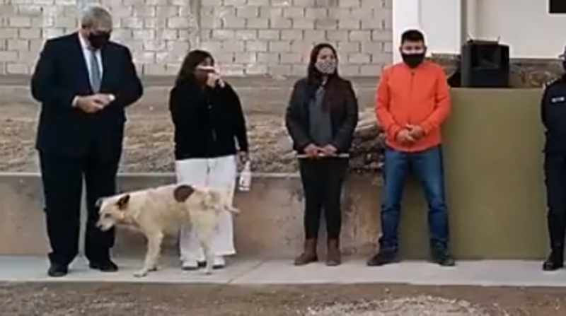 El video un perro que orina a pública en acto político es sensación en - El Comercio
