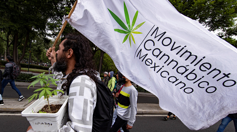 Un activista del Movimiento Cannábico Mexicano Plantón 420 con su planta de marihuana participa en una protesta para exigir la regularización del Cannabis, en la Ciudad de México (México). Foto: EEFE