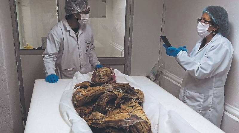 Una rata momificada fue hallada al interior de una tumba humana del siglo XIX, en el monasterio de la Asunción. Fotos: Cortesía Josefina Vásquez, Miguel Pinto y Archivo/El Comercio