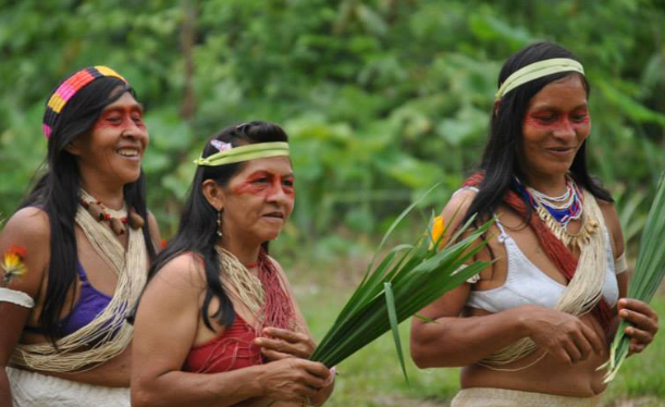 La vacunación a la población Waorani, cuyas edades oscilan entre los 18 y 97 años, será a inicios de julio del 2021. Foto: Cortesía de la Asociación de Mujeres Waorani de la Amazonía Ecuatoriana.