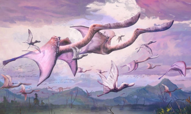 Una bandada de pterosaurios parecidos a flamencos adultos y crías emprende el vuelo en el Cretácico Inferior de Argentina. Foto: Europa Press