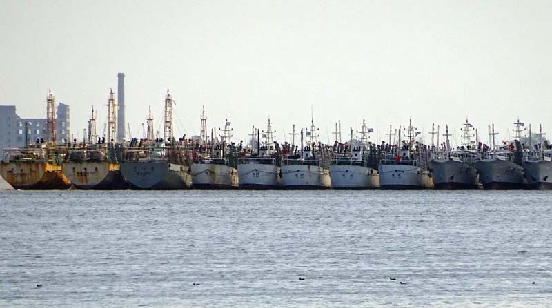 Las embarcaciones extranjeras se dirigen a Montevideo para reaprovisionarse. Fotos Cortesía Milko Schvartzman
