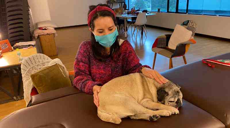 Yomara Rosero, terapeuta y maestra reiki certificada, lleva a cabo esta terapia con su mascota. Foto: Cortesía Maki-Cultura y Reiki
