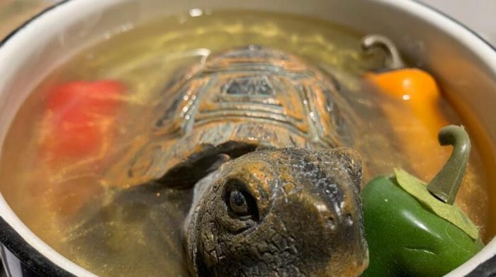 Sopa de tortuga para gente que no teme probar cosas diferentes. Foto: EFE