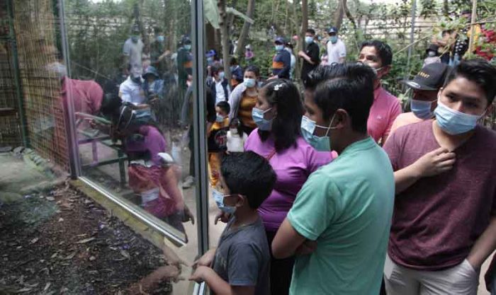El Zoológico de Guayllabamba acoge a 90 especies de animales. Foto: Galo Paguay / EL COMERCIO