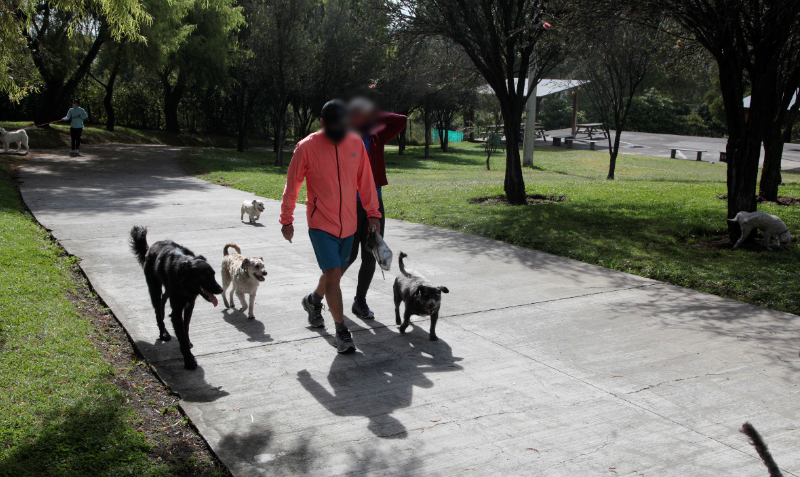 Personas caminan junto a sus perros en el Parque de la Mujer, en el norte de Quito. Foto: Archivo/EL COMERCIO