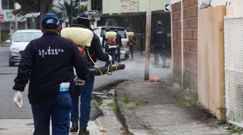 En Guayaquil, trabajadores del Municipio realizan una desinfección con hipoclorito de sodio, para evitar la propagación del covid-19 en la urbe porteña. Foto: Enrique Pesantes/ EL COMERCIO
