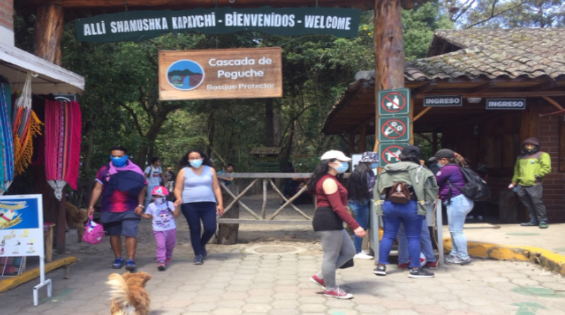 La caída de agua que tiene 20 metros de altura y las caminatas por las 40 hectáreas del bosque de Peguche, situado en Otavalo, son los principales atractivos. Washington Benalcázar/ El Comercio