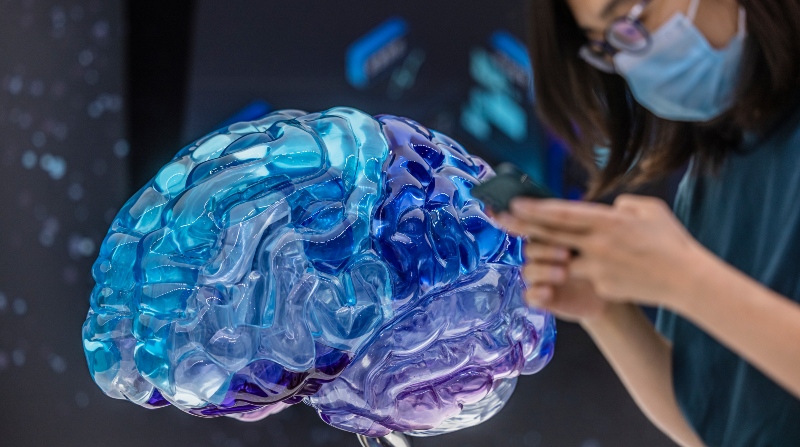 Un modelo de cerebro humano expuesto en una muestra en Shanghái (China). EFE