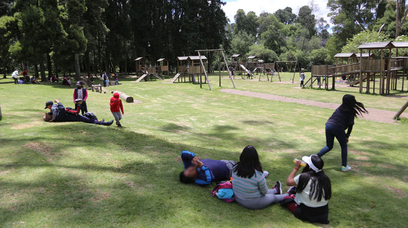 Las familias acudieron en grupos a los parques de Quito y guardaban distancia de otras personas, como medida de bioseguridad. Foto: Vicente Costales/ EL COMERCIO
