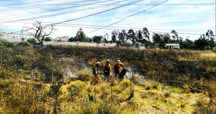 El fuego en las quemas forestales ha afectado amplias áreas de distintos sectores de Quito. Foto: Twitter Bomberos Quito