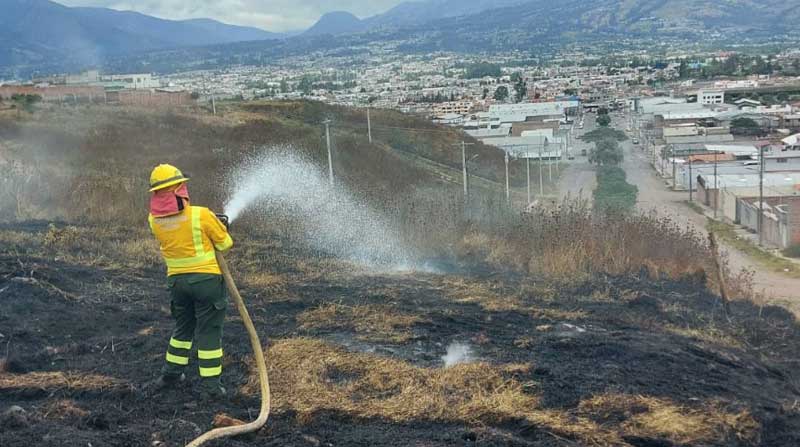 Los bomberos combatieron una quema forestal en el sector del Periférico Sur, en el cantón Ibarra. Foto: Cortesía / Cuerpo de Bomberos Ibarra