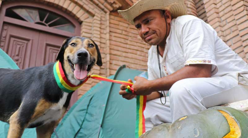 Penoco, el perro que acompaña la marcha indigena desde San José, es visto este miércoles 22 de septiembre del 2021. Foto: EFE