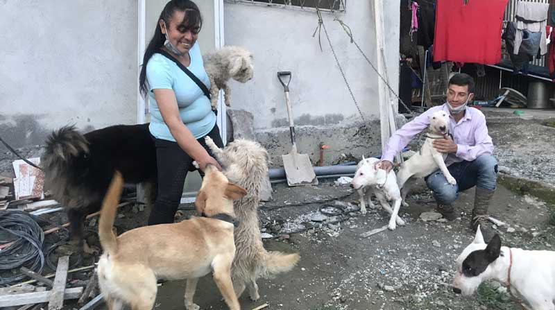 Una pareja y sus 10 perros migraron desde Colombia