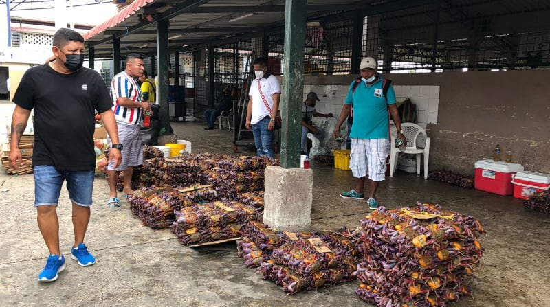 En el mercado de la Caraguay, tradicional punto de distribución en Guayaquil, solo cuatro puestos exhibieron el producto a inicios de la mañana de este 16 de septiembre del 2021. Foto: Enrique Pesantes / EL COMERCIO
