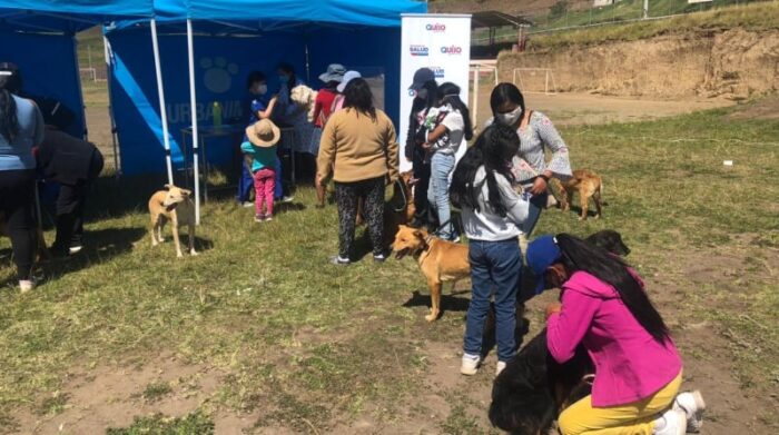 Este 4 de septiembre del 2021 hubo dos charlas de tenencia responsable con los moradores del sector de la avenida Princesa Toa, suroriente de Quito. Foto: Cortesía de la Unidad de Bienestar Animal