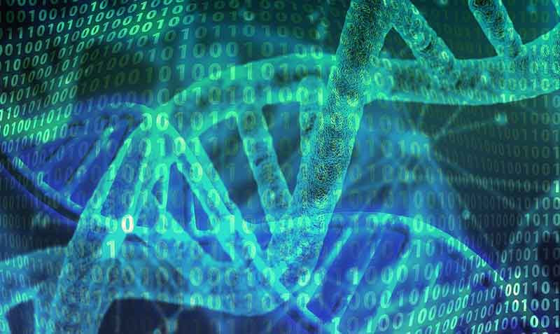 Imagen referencial. Las mutaciones del ADN provocan cáncer, pero no todas las células con mutaciones se vuelven cancerosas. Foto: Pixabay