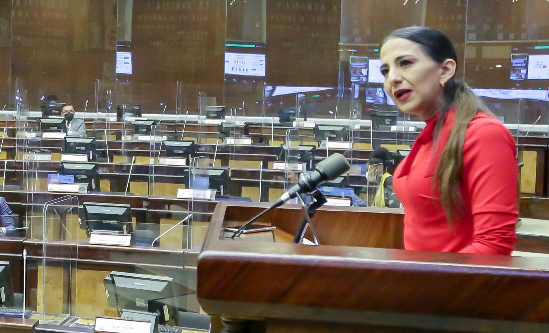 La ministra de Agricultura, Tanlly Vera, el 7 de septiembre, durante su intervención en el Pleno de la Asamblea Nacional. Foto: Cortesía