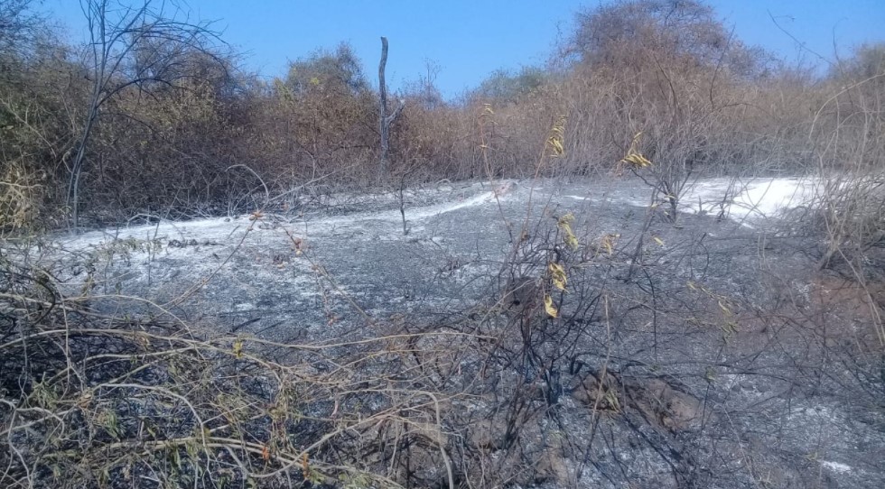 La quema de siete días destruyó parte del área protegida de los bosques de Zapotillo. Foto: Cortesía Junta Parroquial de Limones