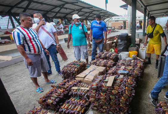 Venta de cangrejos en el mercado Caraguay, en Guayaquil. Foto: Enrique Pesantes / EL COMERCIO