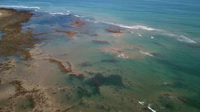 Las costas de Manabí fueron uno de los puntos más analizados en la reciente investigación. Foto: Cortesía César Peñaherrera