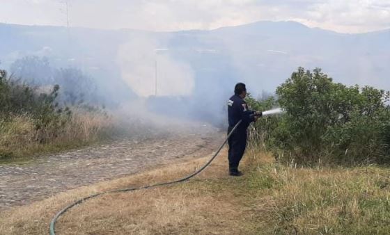 Los bomberos sofocaron una quema forestal en el sector de Alor, en el cantón Bolívar, Carchi. Foto: Cortesía Cuerpo de Bomberos Bolívar