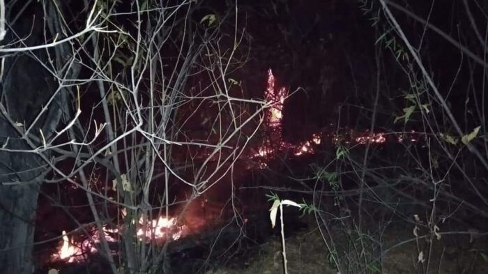 Los pobladores temen la muerte de distintas especies de animales por el voraz incendio forestal en Zapotillo. Foto: Cortesía Junta Parroquial de Limones 