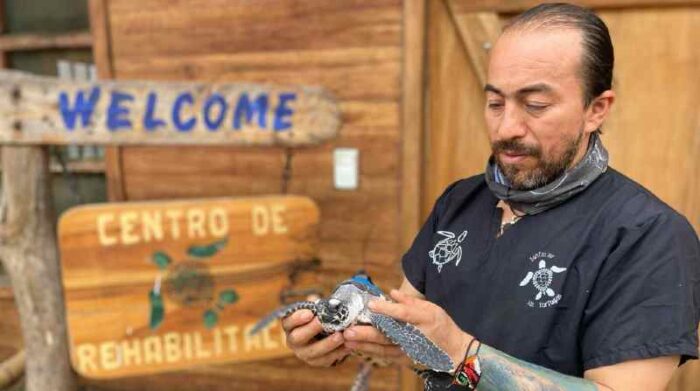 Desde 2012, Alemán ha atendido a más de 650 tortugas marinas en el centro ubicado en Manabí. Foto: Cortesía Felipe Vallejo/ Equilibrio Azul