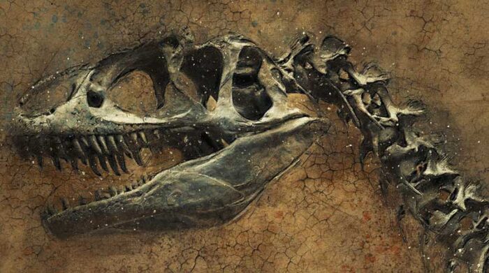 Imagen referencial. A principios de los 2000, un equipo internacional de científicos encontró en Formación Laguna Colorada (Patagonia) un lugar de anidación de dinosaurios de 190 millones de años de antigüedad. Foto: Pixabay