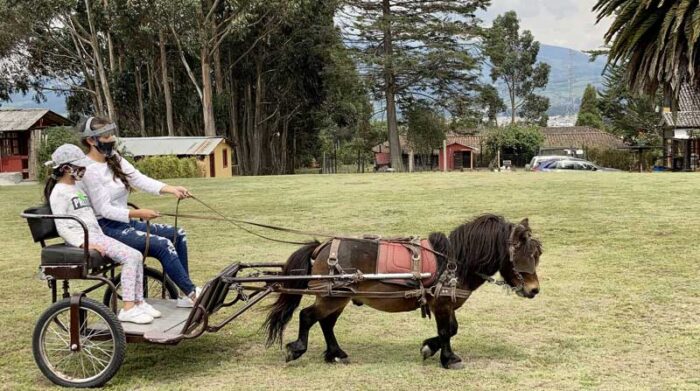 En la granja, los visitantes pueden pasear en una carreta que arrastrada por un poni. Foto: Mayra Pacheco / EL COMERCIO