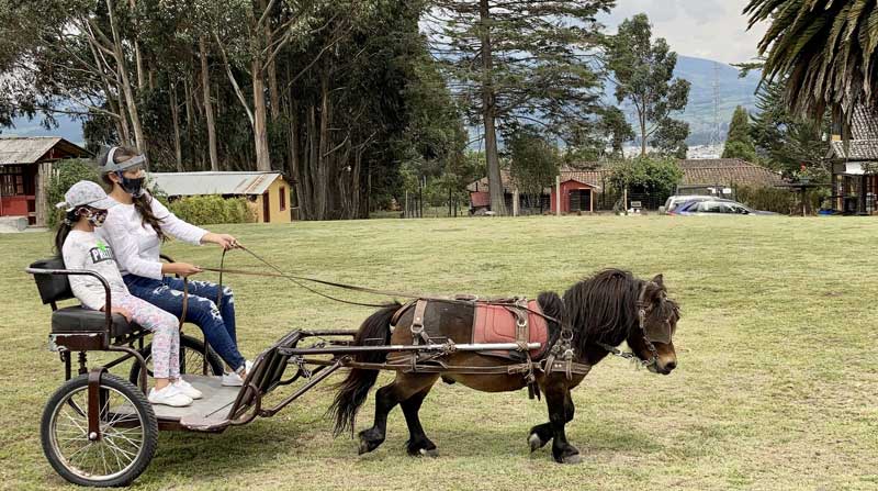 En la granja, los visitantes pueden pasear en una carreta que arrastrada por un poni. Foto: Mayra Pacheco / EL COMERCIO