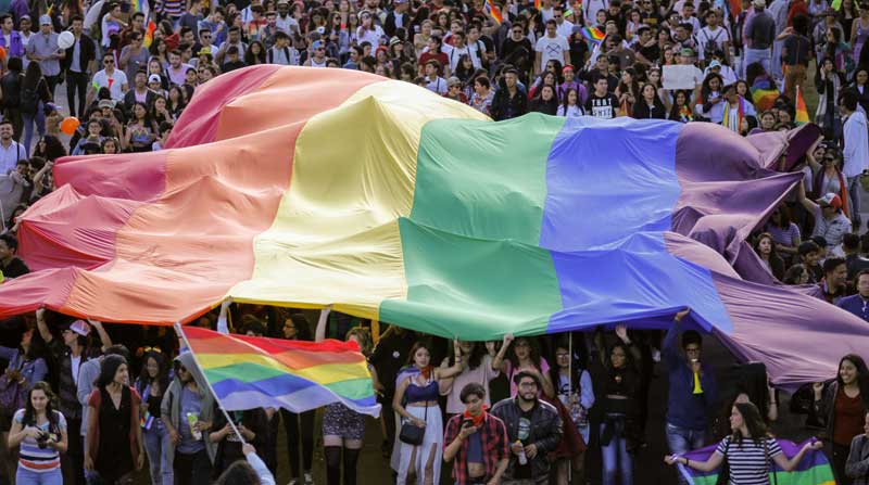 La Organización Mundial de la Salud (OMS) retiró la homosexualidad de la lista de enfermedades mentales desde 1990. Foto: Archivo / EL COMERCIO