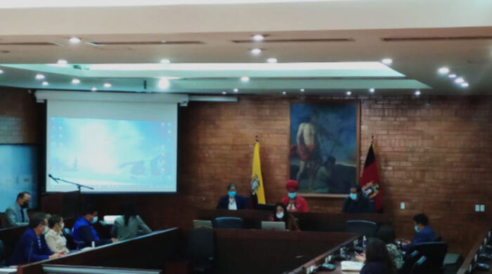 En el Concejo se planteó regularizar a los estibadores que laboran en Quito. Foto: Ivonne Mantilla/ EL COMERCIO