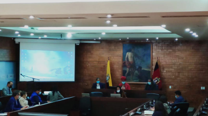 En el Concejo se planteó regularizar a los estibadores que laboran en Quito. Foto: Ivonne Mantilla/ EL COMERCIO