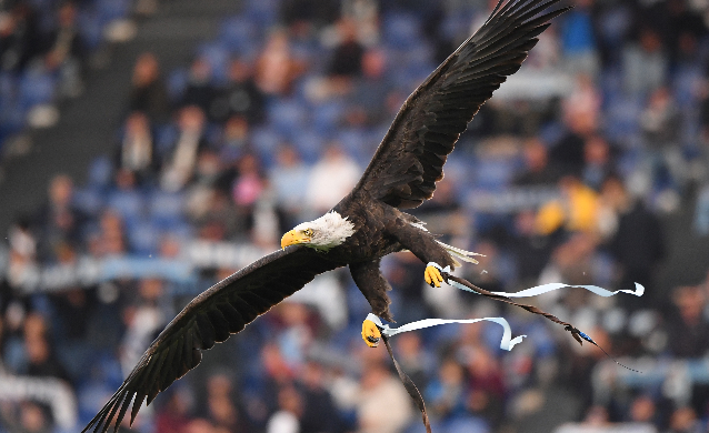 El águila en un partido de Lazio del 16 de octubre del 2021. Foto: REUTERS