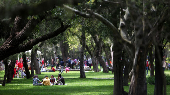 Las personas realizaron distintas actividades en los parques. Foto: Julio Estrella/ EL COMERCIO