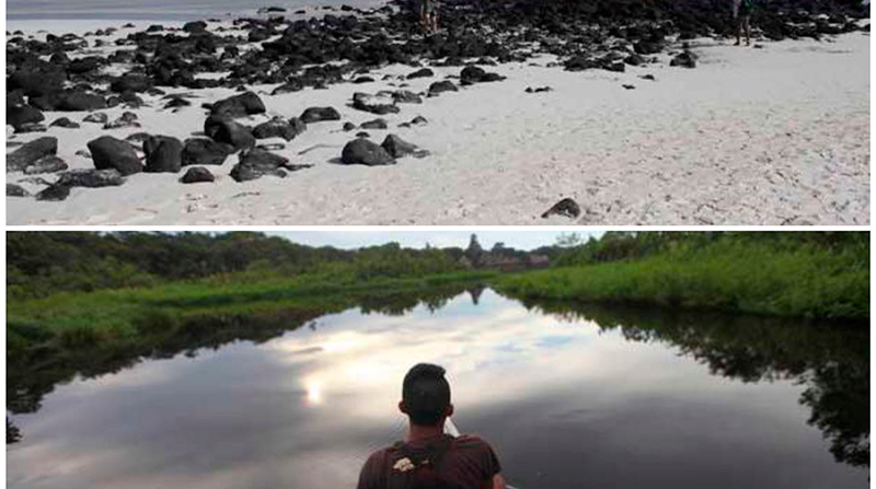 Las Islas Galápagos y el Yasuní son territorios de los que se han presentado planes por canje de de deuda Fotos: archivo / EL COMERCIO