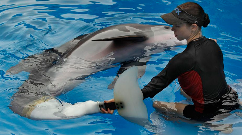 La delfín fue una fuente de inspiración para miles de niños con problemas de discapacidad. Foto: Acuario CMA