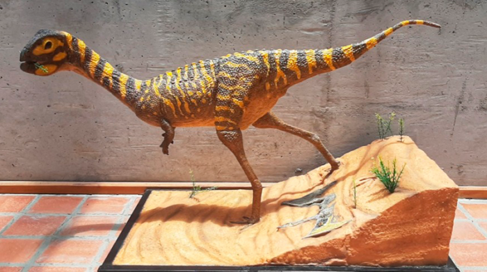 El dinosaurio vivió en Brasil hace unos 70 u 80 millones de años. Foto: Museu Nacional