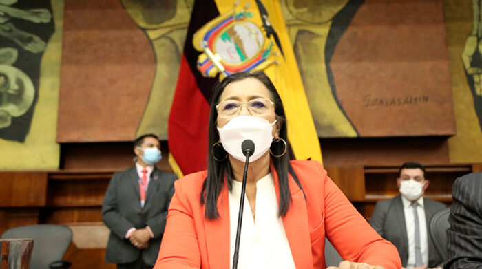 Guadalupe Llori hizo un llamado a las comisiones legislativas a dar el tratamiento prioritario a los proyectos de ley sobre seguridad. Foto: Asamblea Nacional