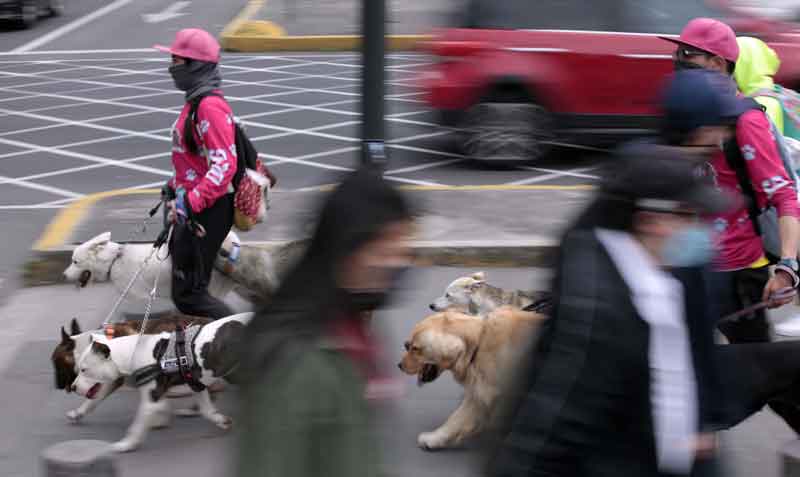 En la Naciones Unidas se pueden ver personas realizando actividades normales, como paseando a sus perros. Foto: Patricio Terán / EL COMERCIO