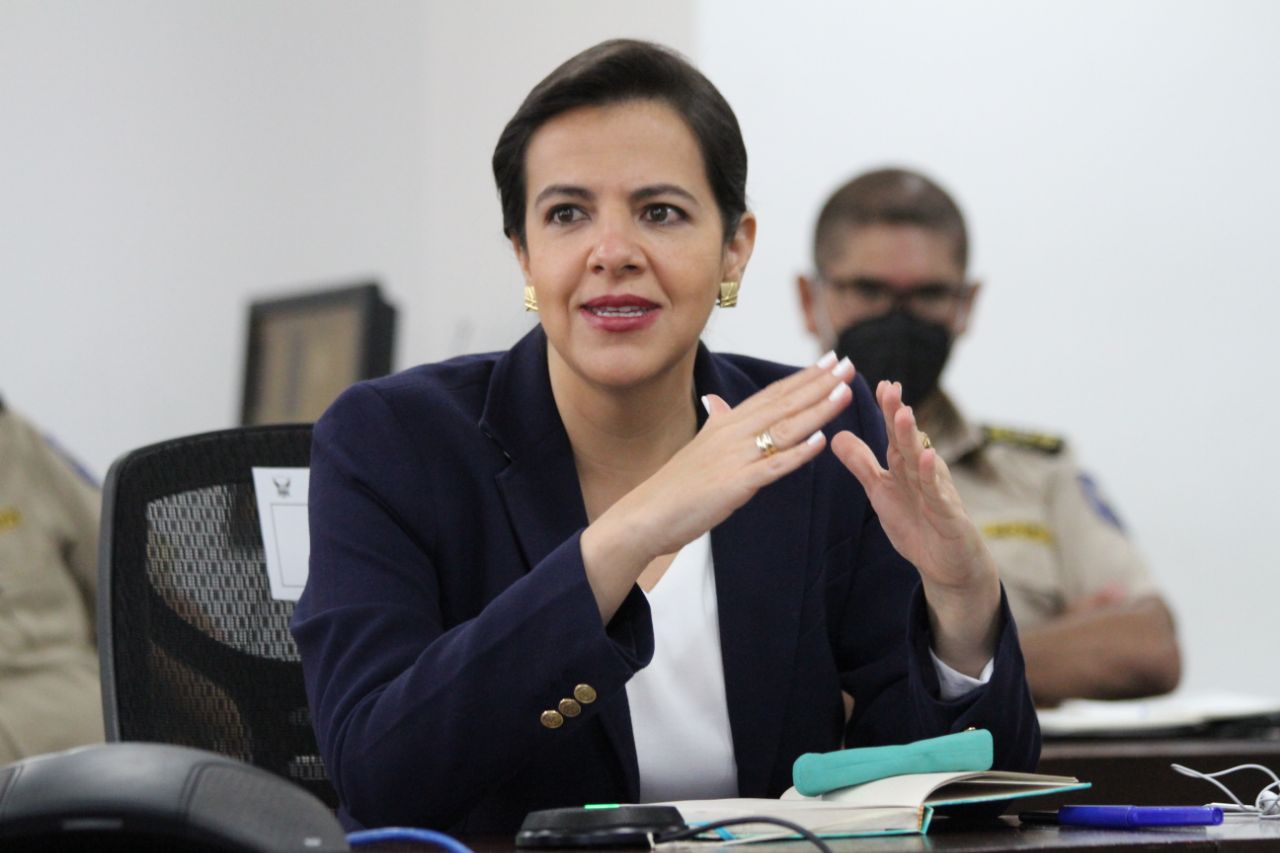 La exministra de Gobierno, María Paula Romo, se refirió a temas de coyuntura política y de seguridad nacional. Foto: Twitter María Paula Romo