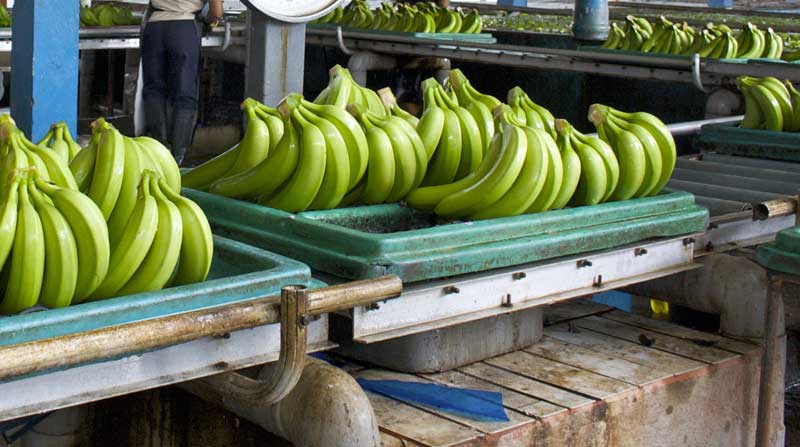 Un total de 122 países se benefician de las preferencias arancelarias. En el caso ecuatoriano, unas 880 compañías exportan 380 productos bajo el SGP. Foto: Archivo / EL COMERCIO