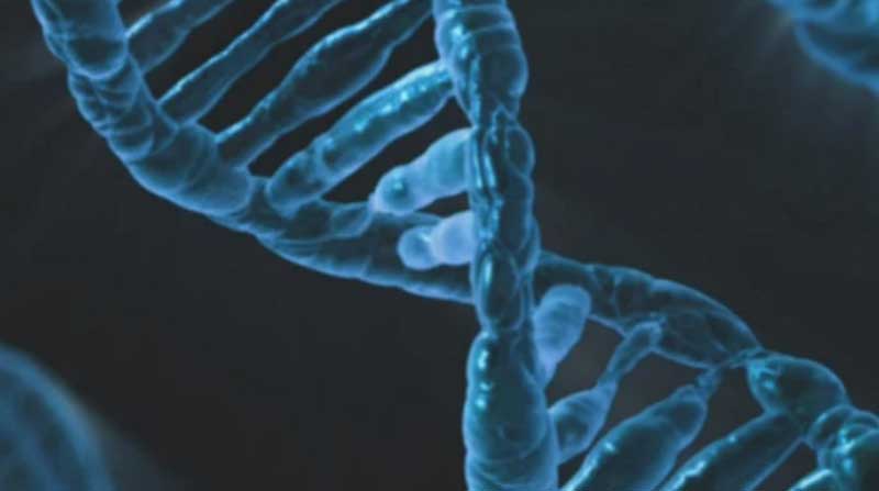 Imagen referencial. El análisis del ADN recuperado de las liendres reveló y confirmó por ejemplo un vínculo genético entre tres de las momias y los humanos de la Amazonía de hace 2 000 años. Foto: Pixabay