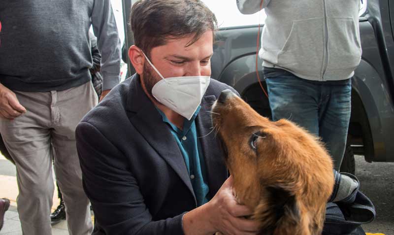 En redes sociales 'Brownie' se presenta como el "Primer Perro de la República" y manda mensajes a favor del cuidado animal. Foto: EFE / Prensa Gabriel Boric